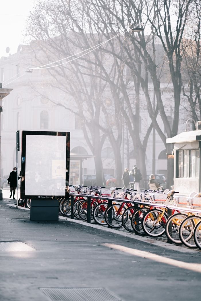 City street scene with bicycles parked along a sidewalk under tall trees in winter.